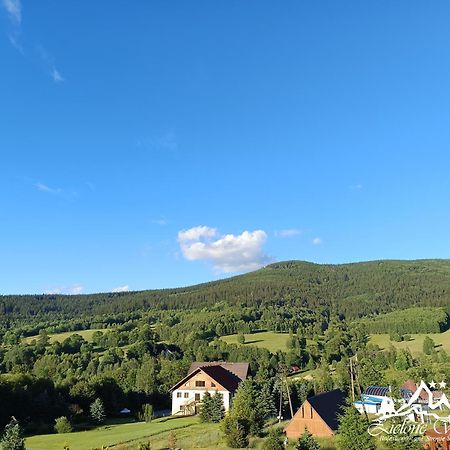 Pensjonat Zielone Wzgorze W Boleslawowie Строне-Слёнске Экстерьер фото